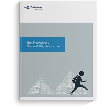 Ebook: Best Practices for a Big Data Journey
