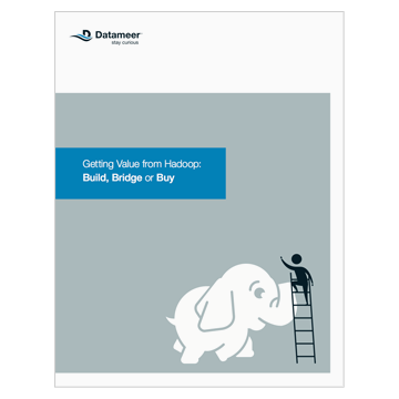 Ebook: Getting Value from Hadoop: Build, Bridge or Buy
