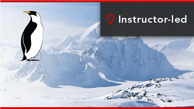 Wind River Linux LTS Application Development