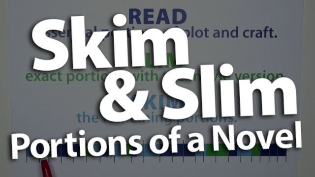 Skim and Slim Portions of a Novel