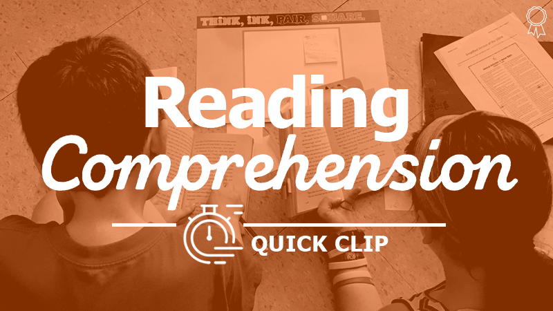 "Break Down Comprehension Strategies by Subskills"