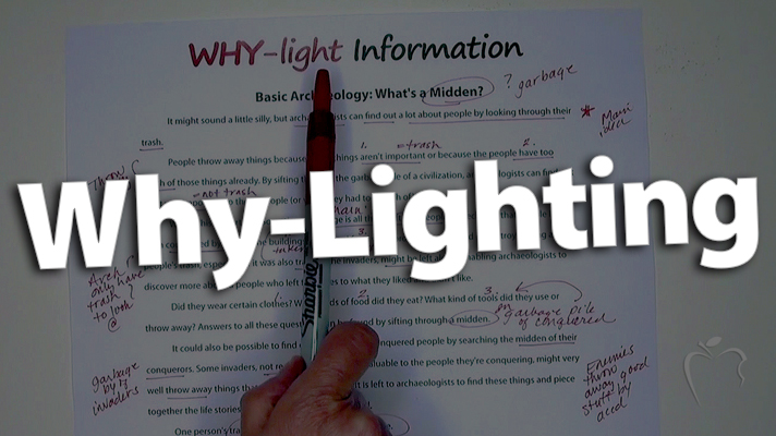 "Go Beyond Highlighting -- Expect Why-Lighting"