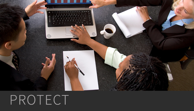 FlexNet Code Insight