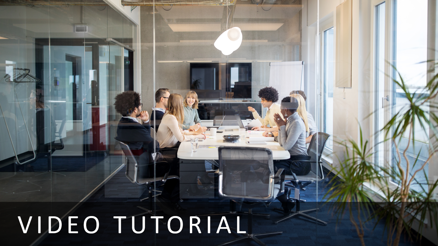Reporting & Governance with FlexNet Manager