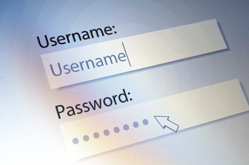 How To: Fleet Access & Log In