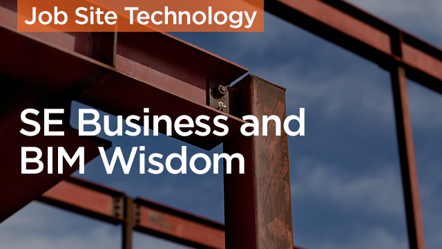 The Profit: SE Business and BIM Wisdom