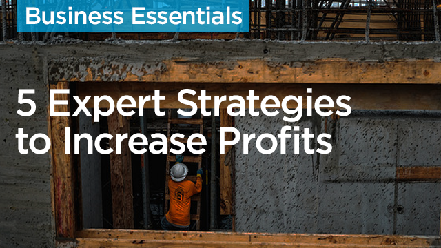 The 5 Expert Strategies Companies Use to Increase Profits