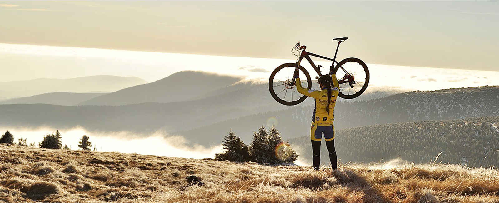 Strength Training for Cycling Success