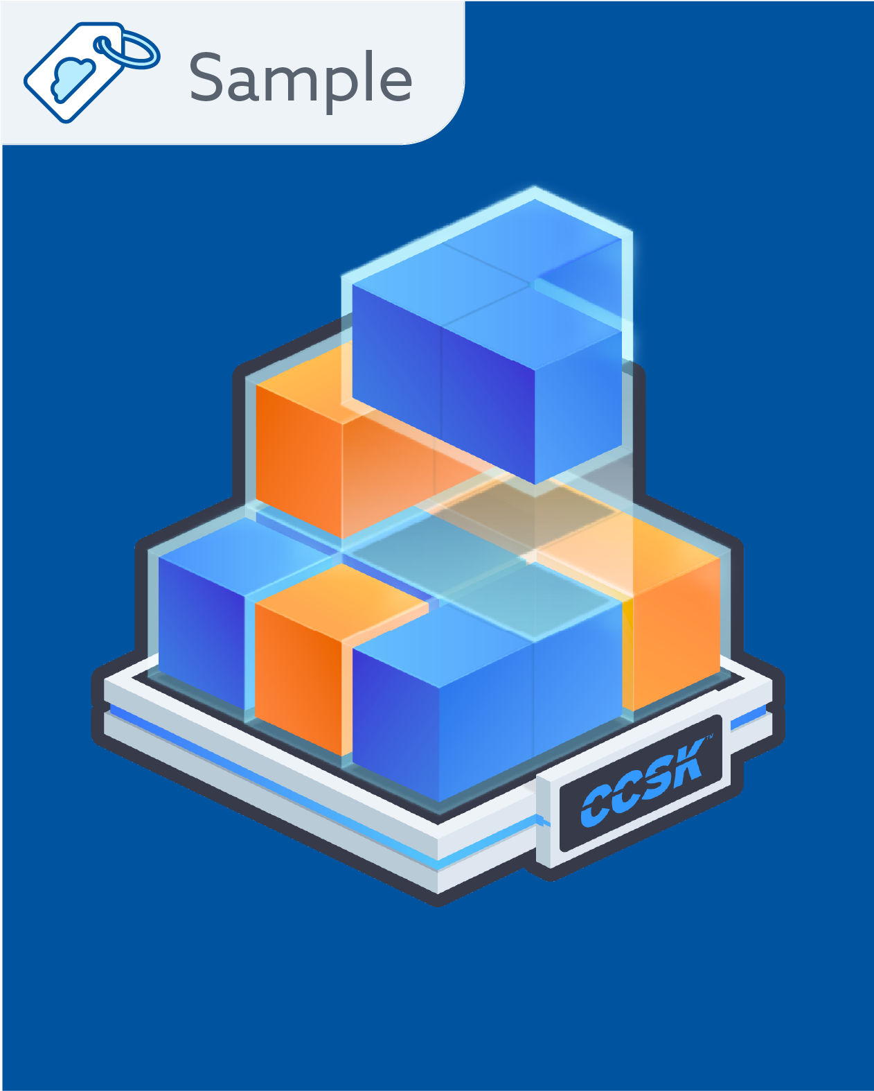 Certificate of Cloud Security Knowledge Course Sample