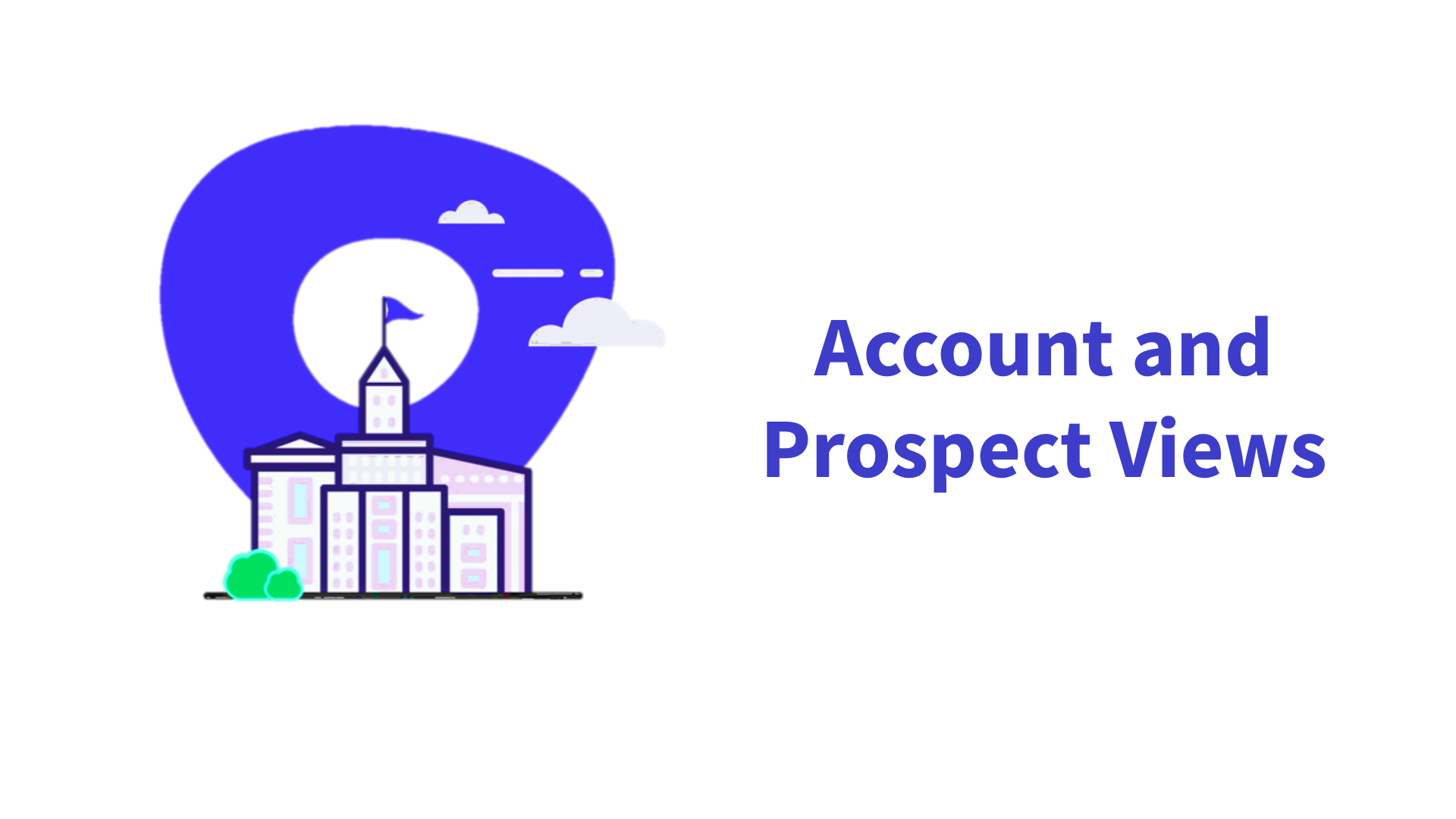 Account and Prospect Views