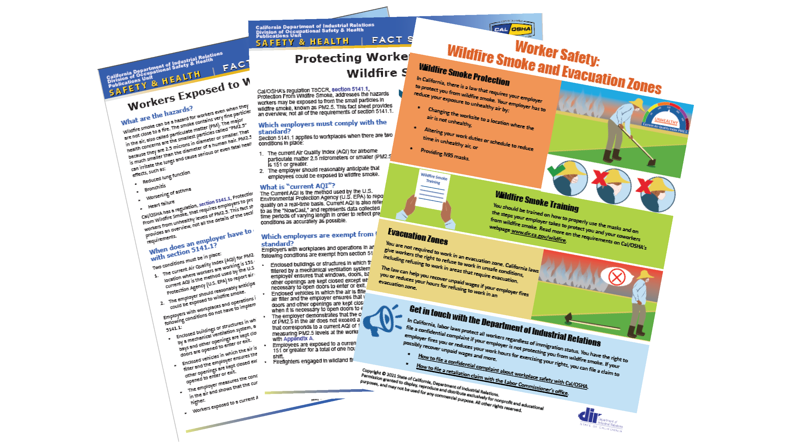 Wildfire Smoke Safety Publications