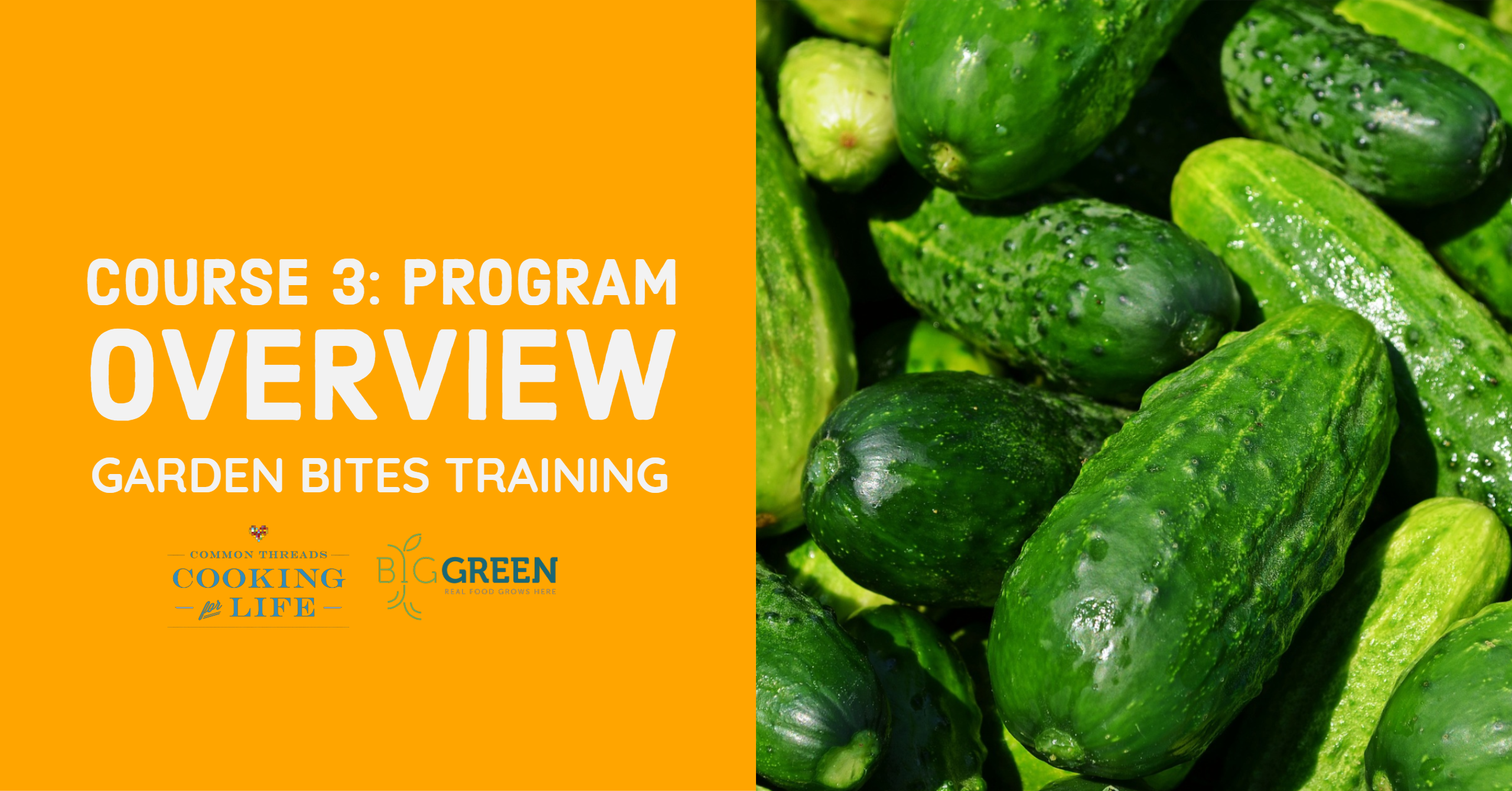 Garden Bites Training for CT: Program Overview & Structures