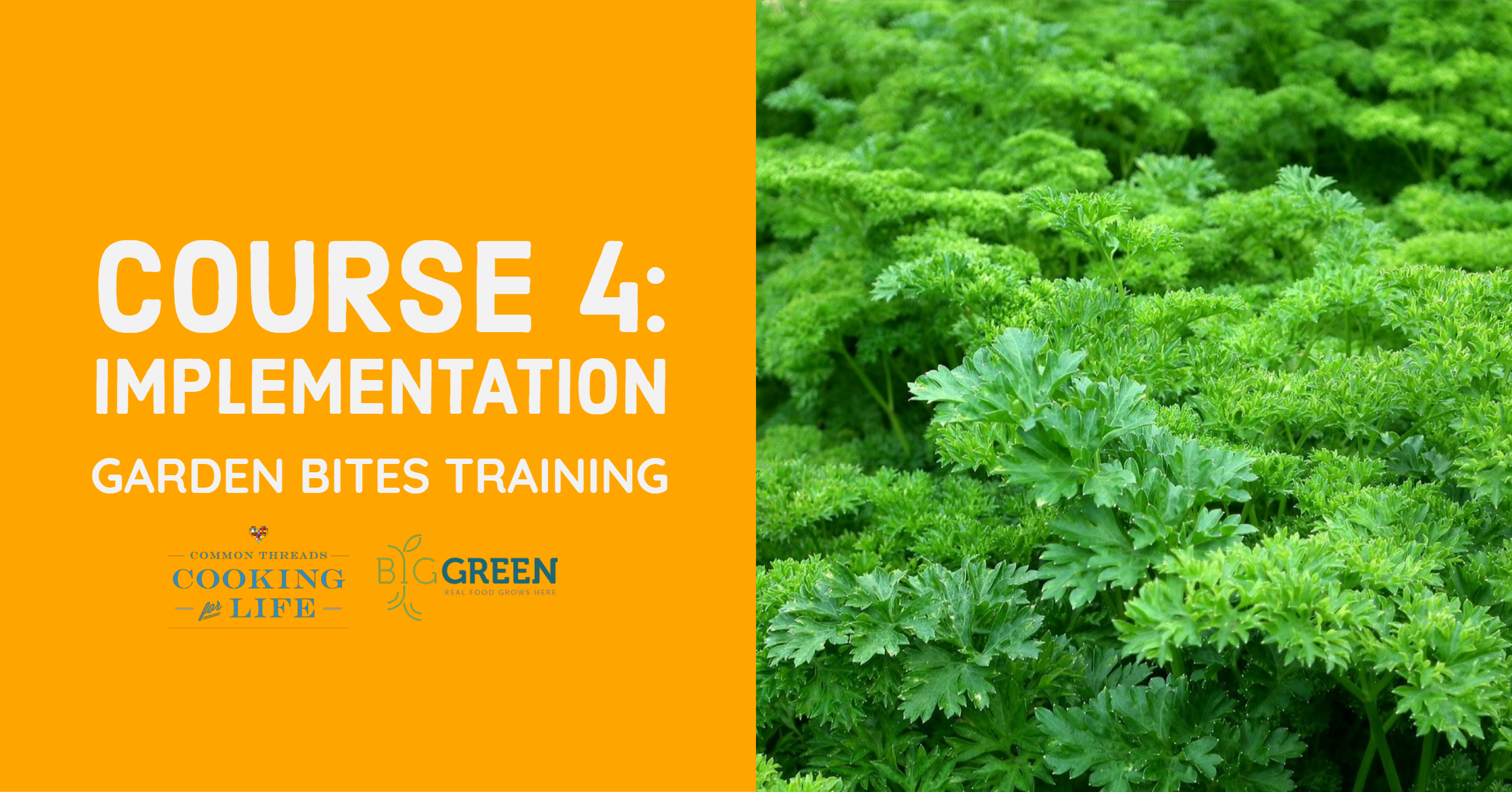 Garden Bites Training for CT: Implementation Logistics