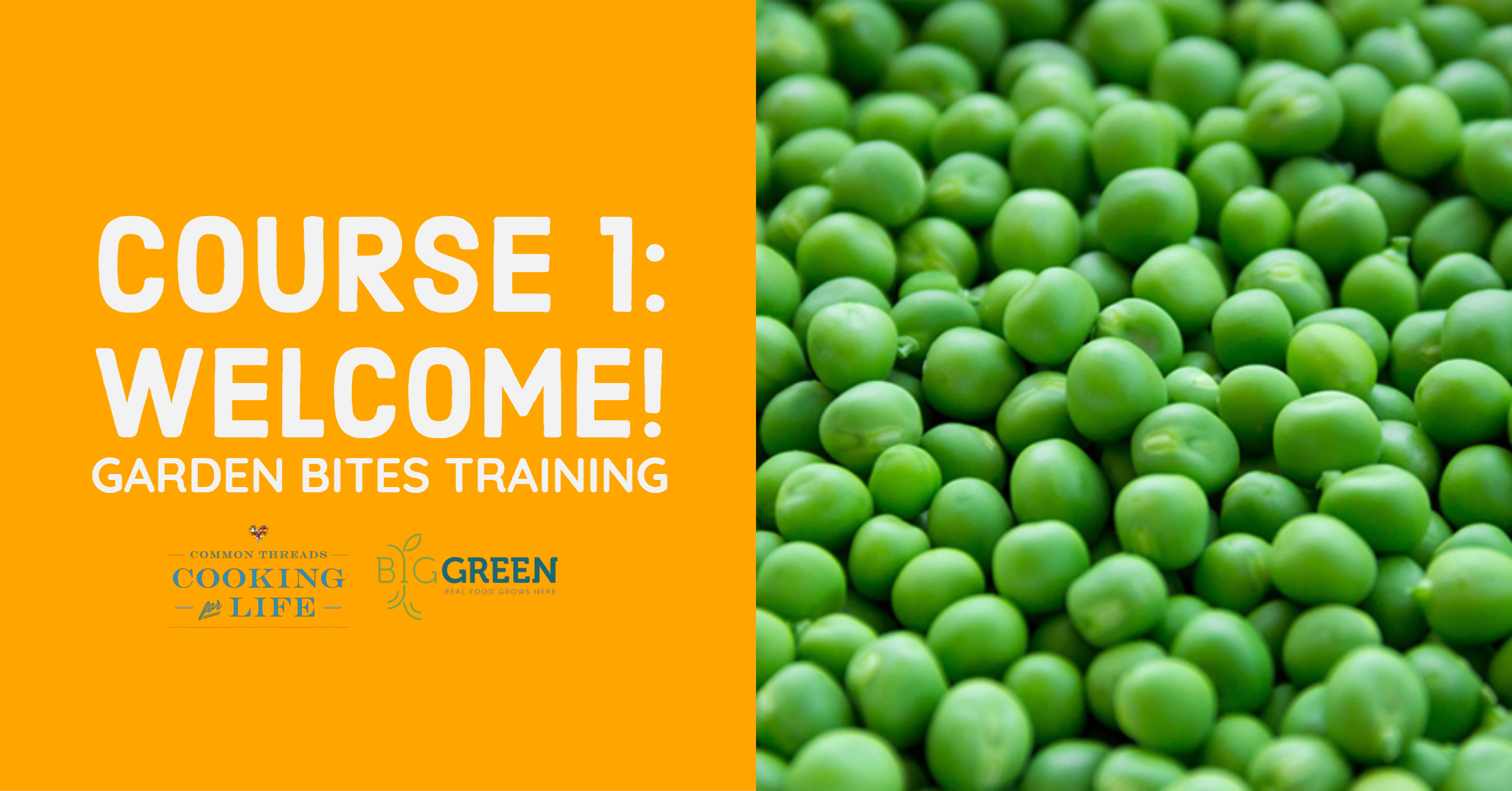 Garden Bites Training for CT: Welcome!