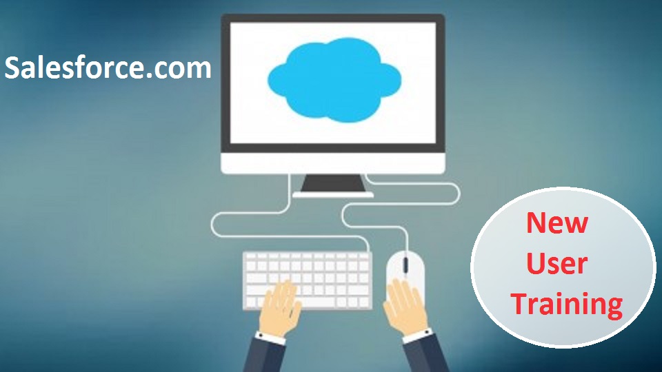 Salesforce New User Training