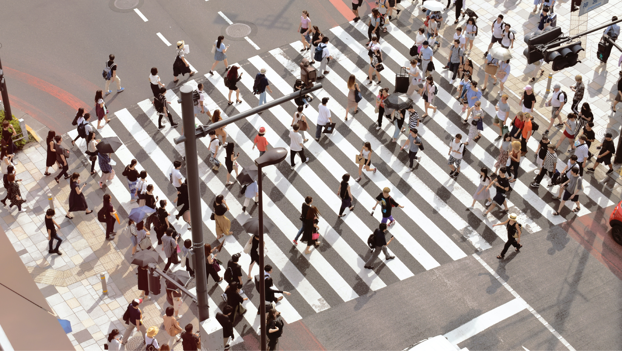 Build and know your community