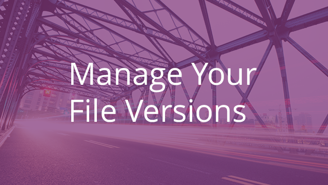 Manage Your File Versions