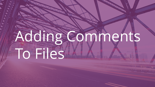 Adding Comments to Files