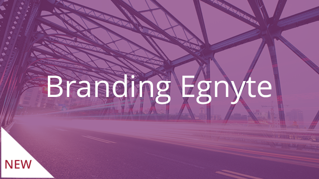 Branding Egnyte