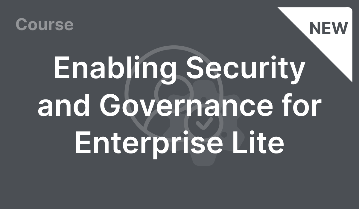 Enabling Security and Governance for Enterprise Lite