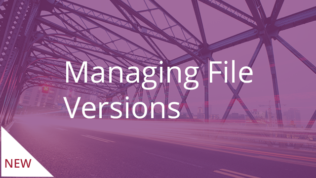 Managing File Versions