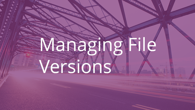Managing File Versions