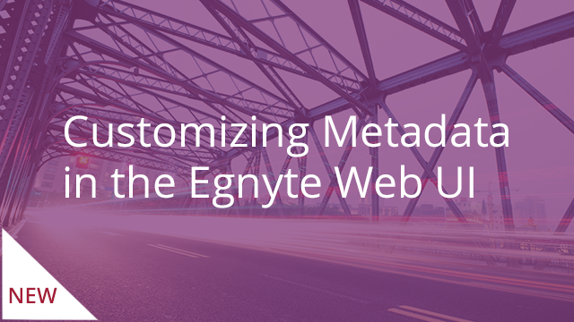 Customizing Metadata in the Egnyte Web UI