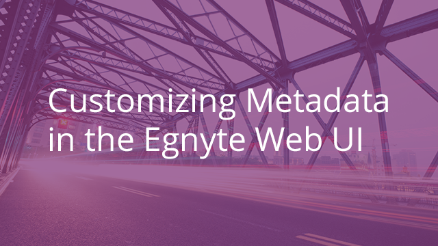 Customizing Metadata in the Egnyte Web UI