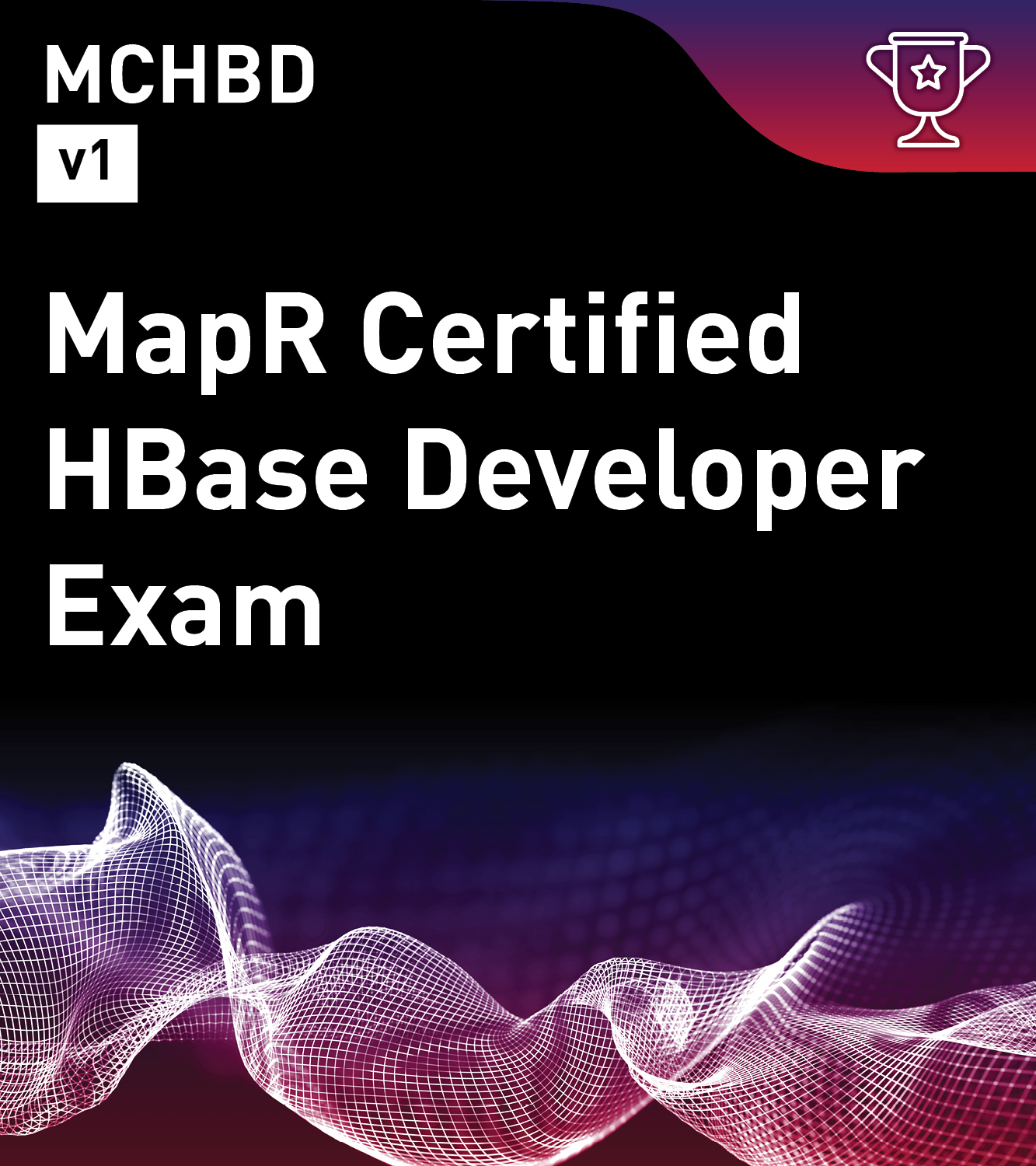 MapR Certified HBase Developer v1 (MCHBD)