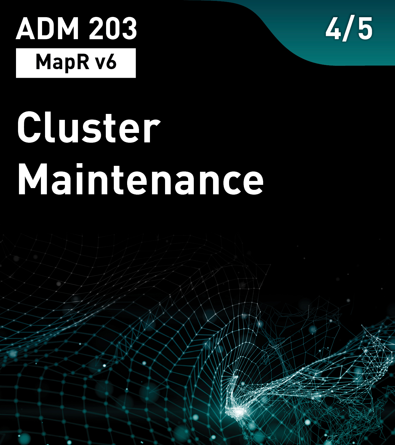 Cluster Maintenance (MapR v6)