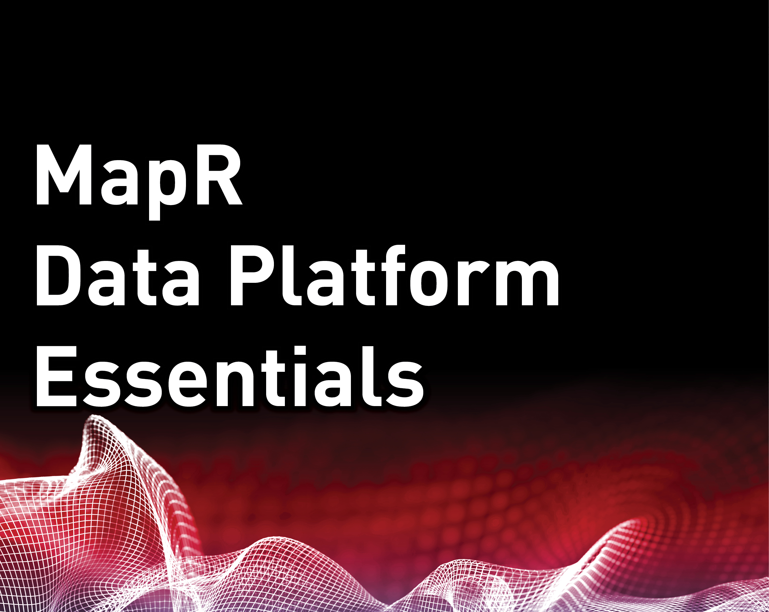 MapR Data Platform Essentials