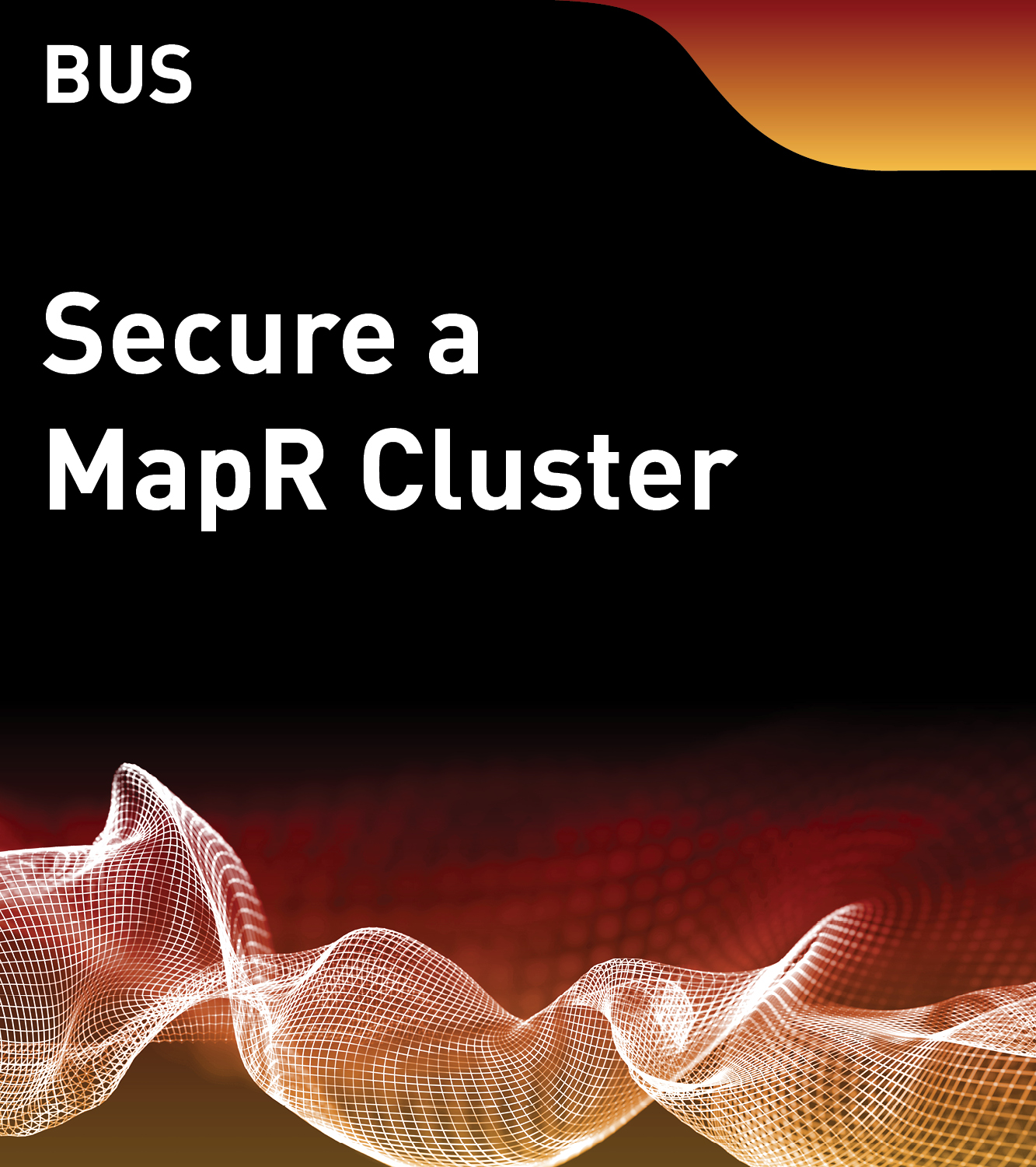 Secure a MapR Cluster