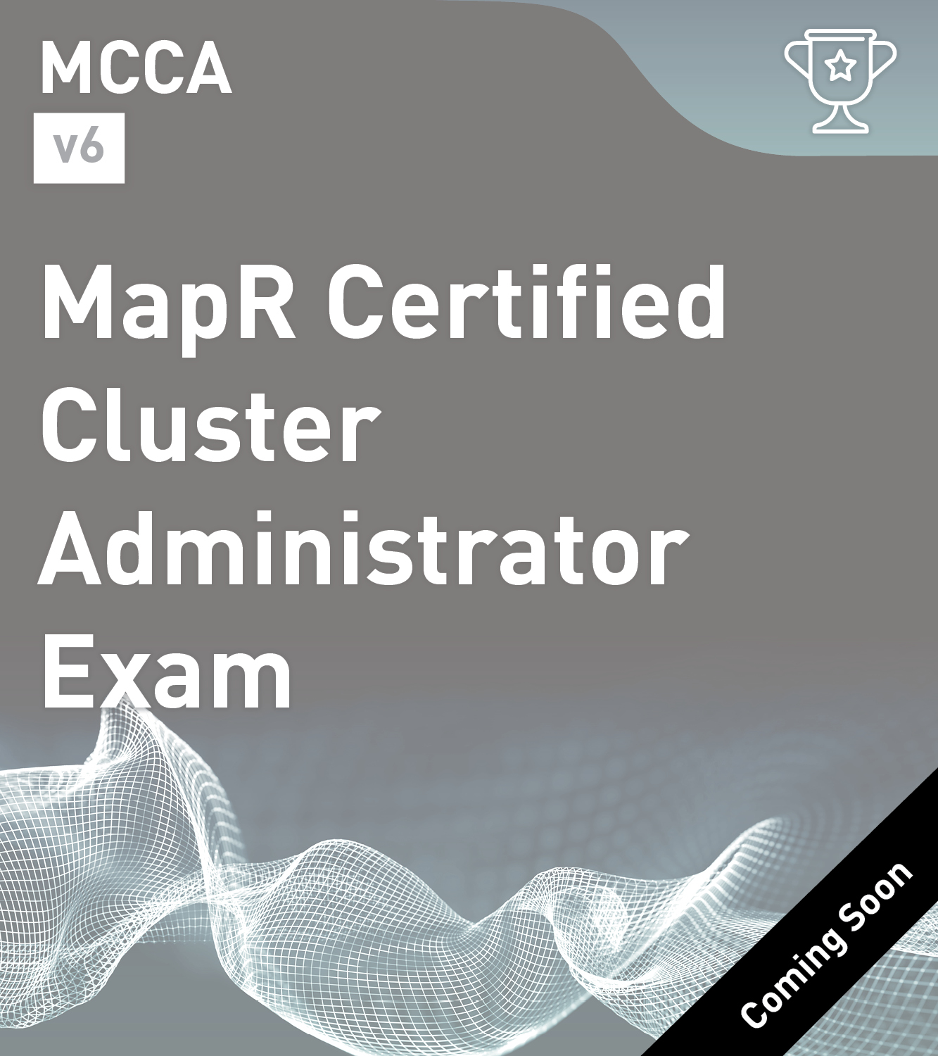 MapR Certified Cluster Administrator v6 (MCCA)