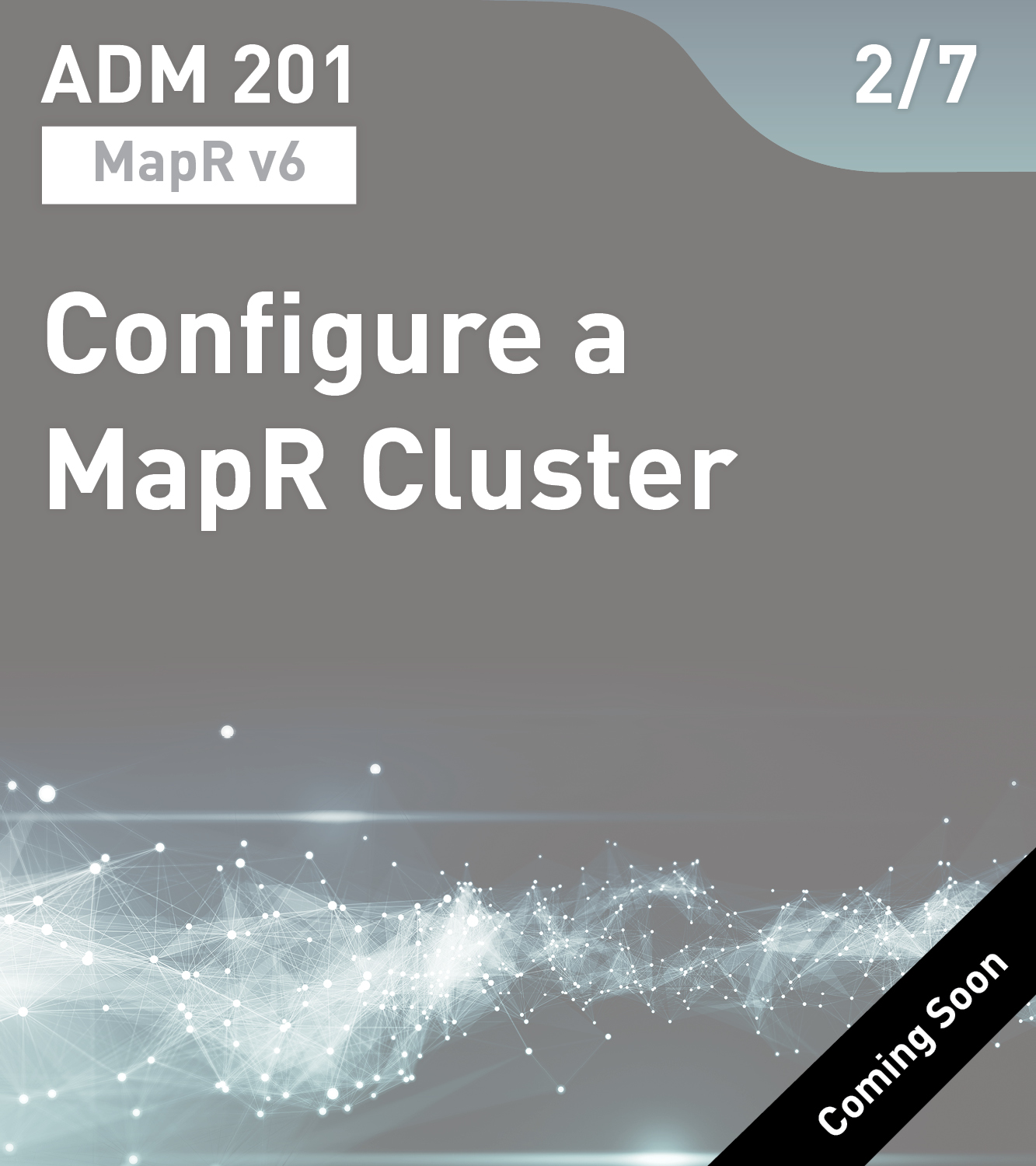 ADM 201 - Store and Protect Cluster Data (MapR v6)