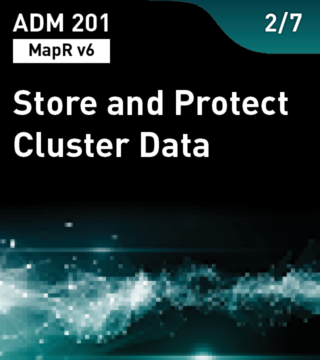 ADM 201 - Store and Protect Cluster Data (MapR v6)
