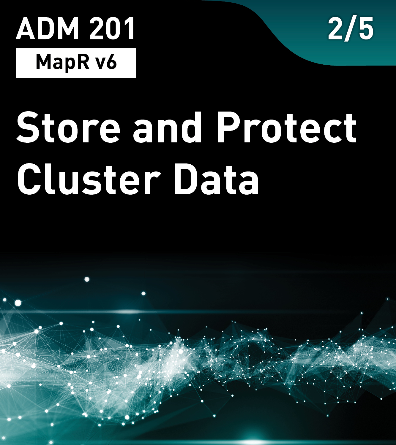 Store and Protect Cluster Data (MapR v6)