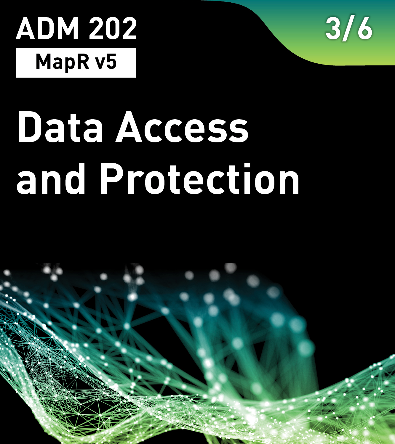 ADM 202 - Data Access and Protection (MapR v5)