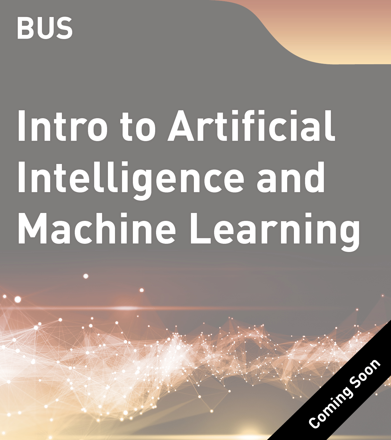 BUS - Introduction to Artificial Intelligence and Machine Learning