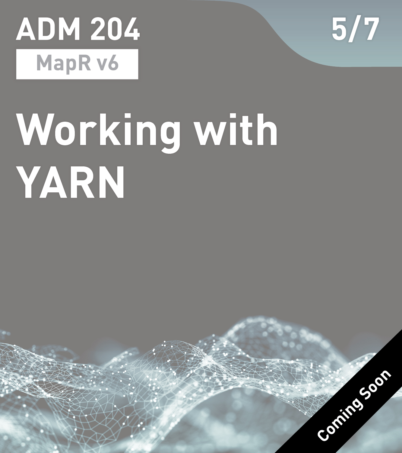 ADM 204 - Working with YARN (MapR v6)