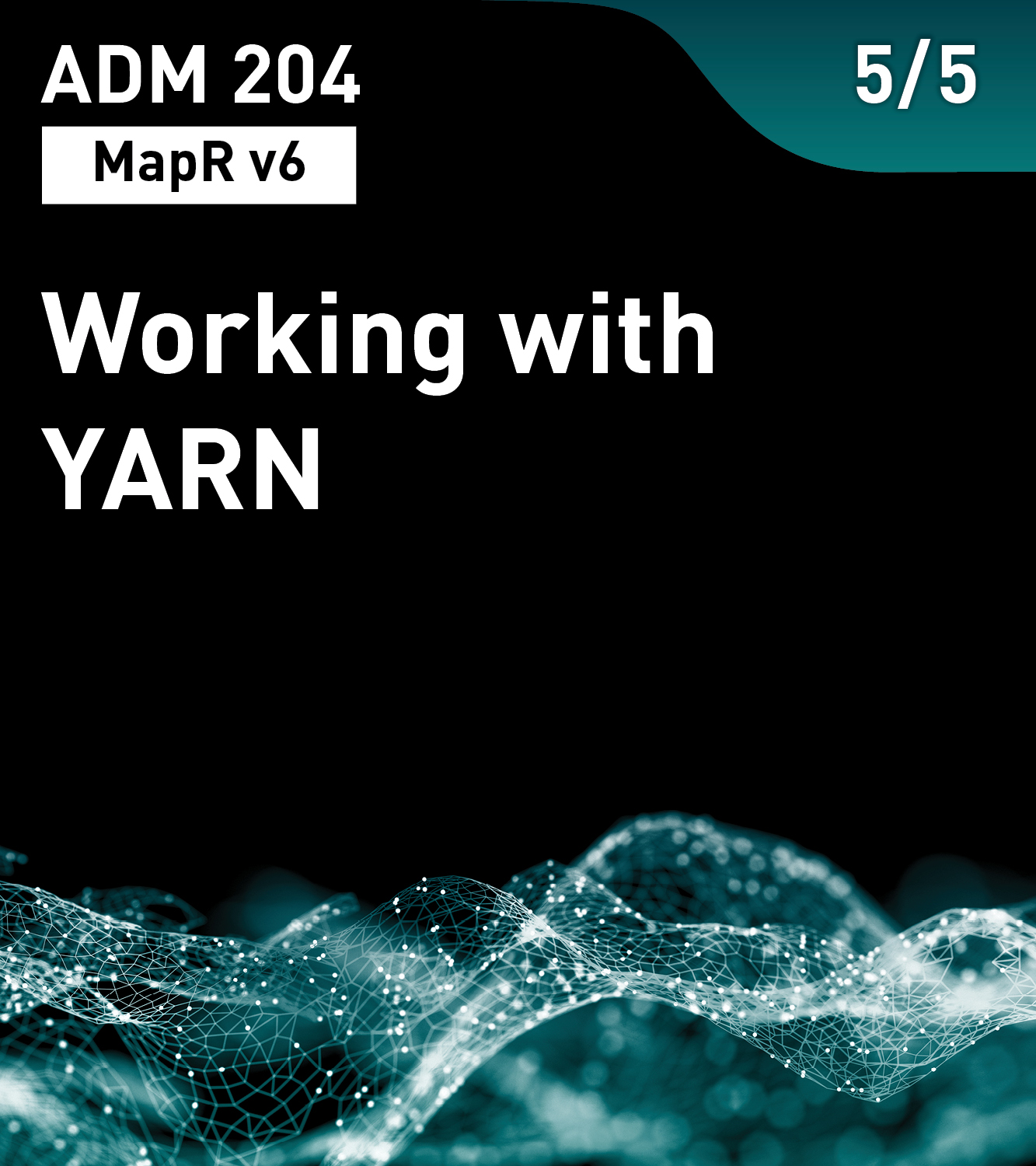 Working with YARN (MapR v6)