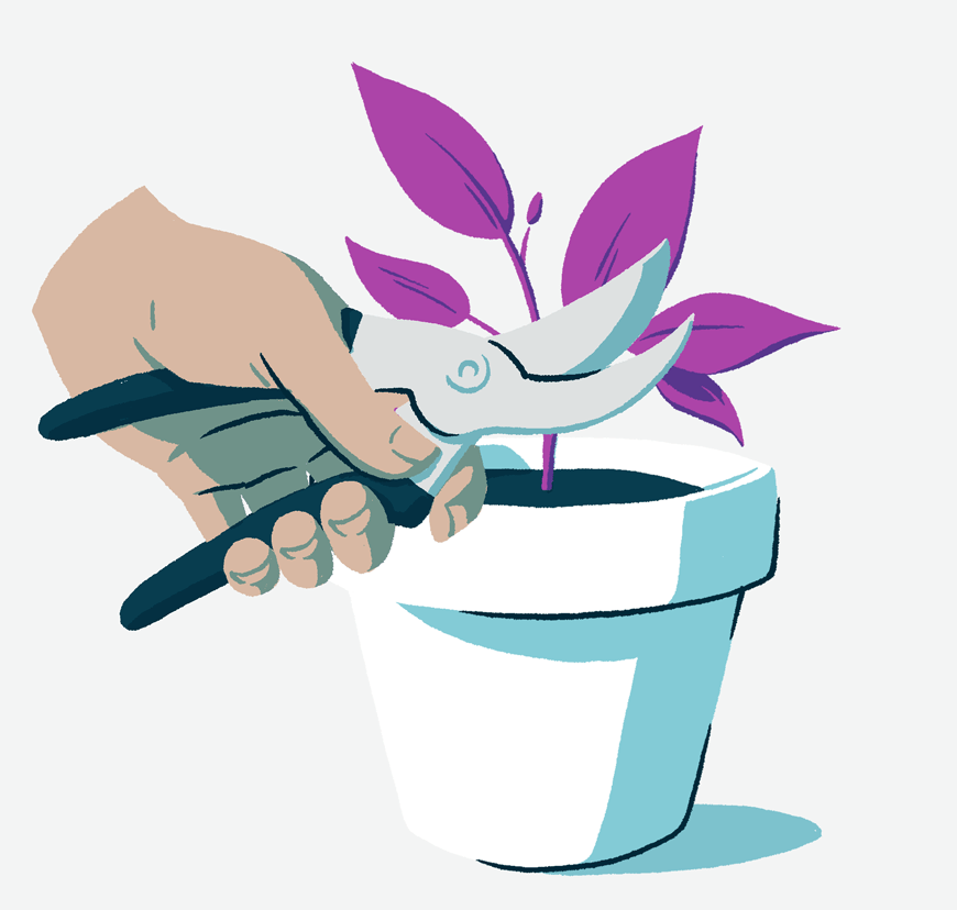 Growing and Managing Community