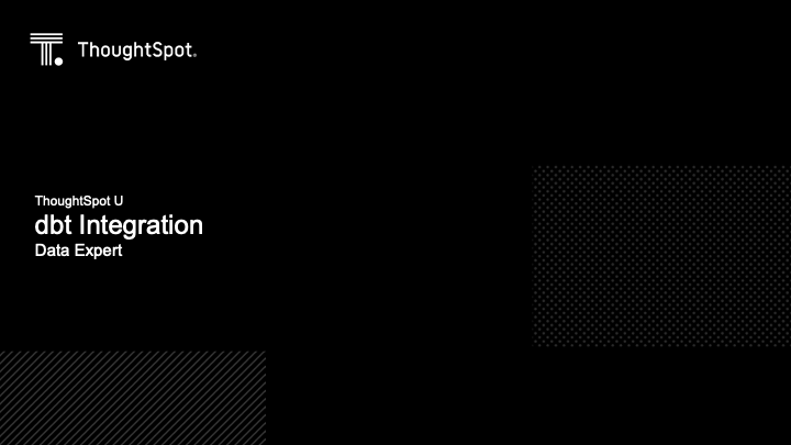 dbt Integration