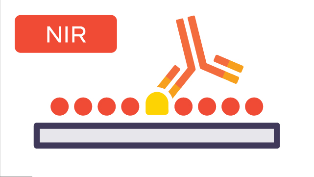 NIR: Blocking the Membrane