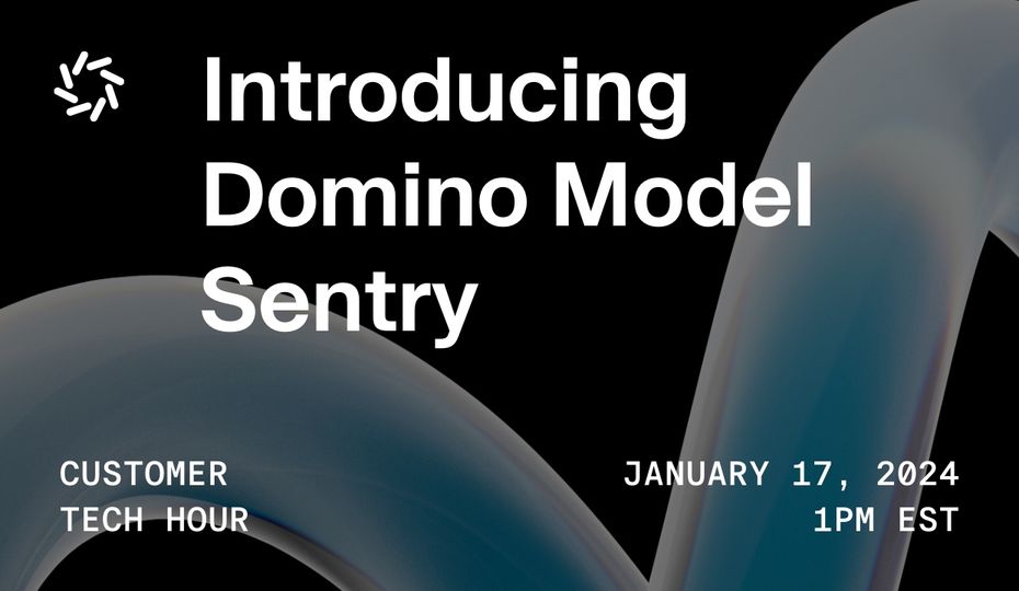 Introducing Domino Model Sentry