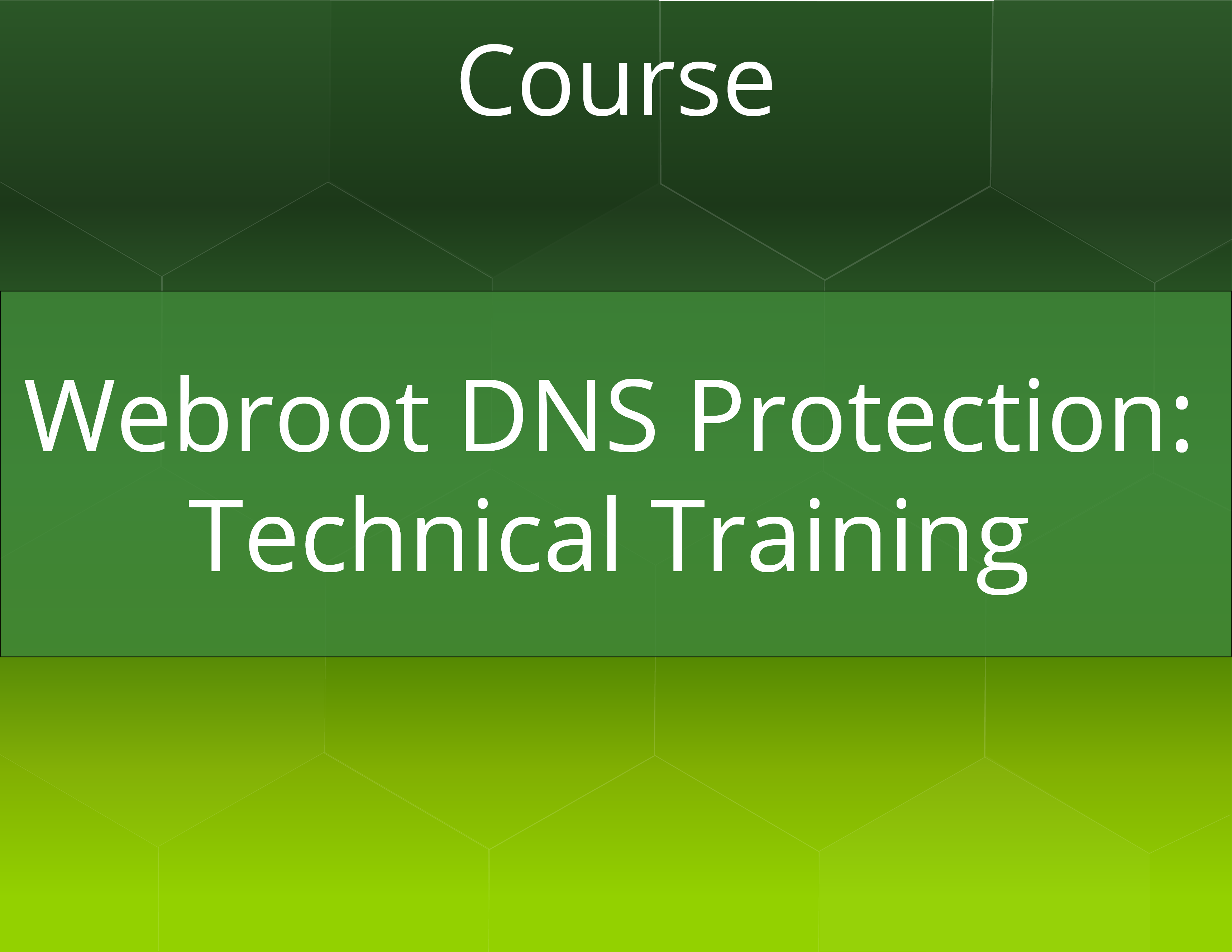Webroot SecureAnywhere DNS Protection Technical Training