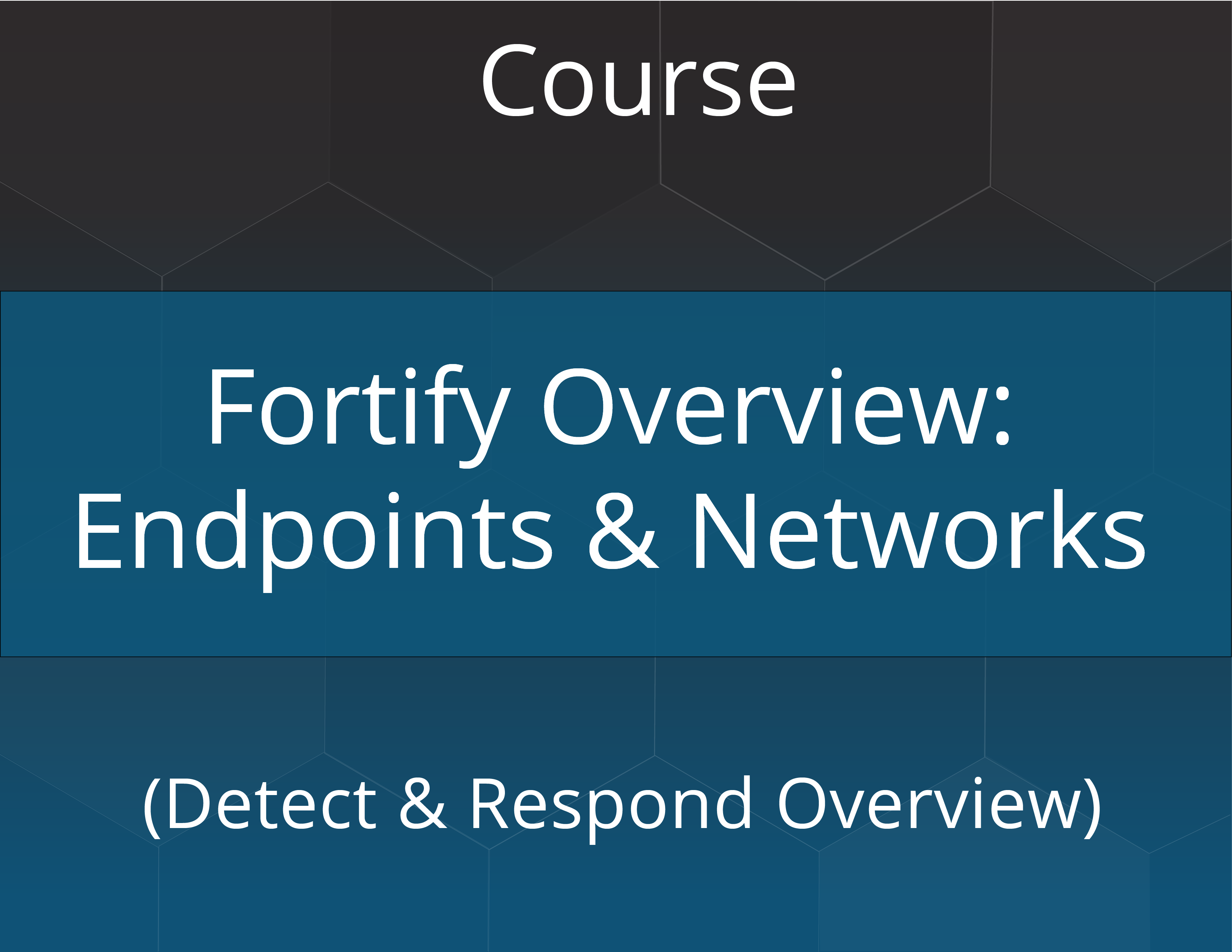 Fortify Overview: Endpoints & Networks