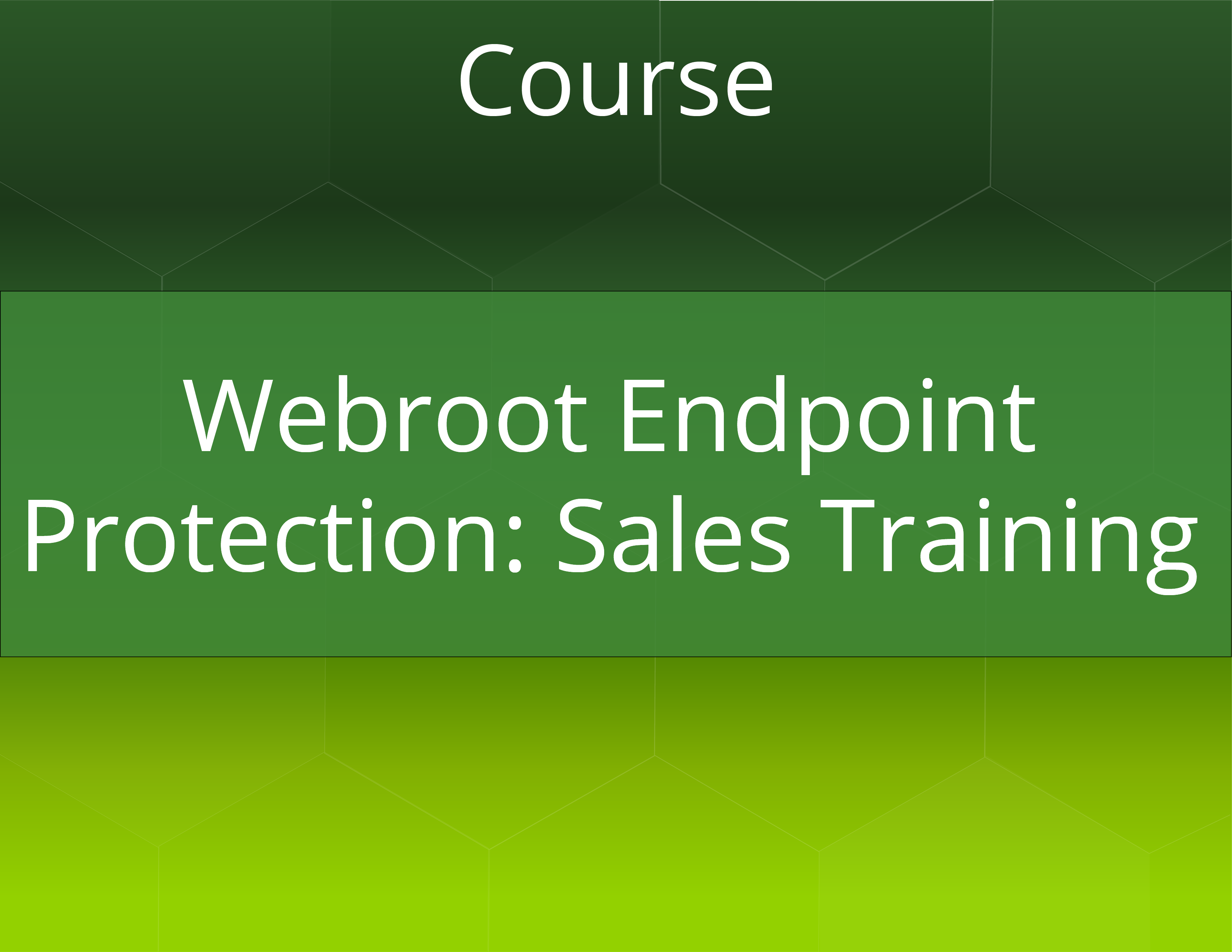 Webroot Endpoint Protection Sales Training