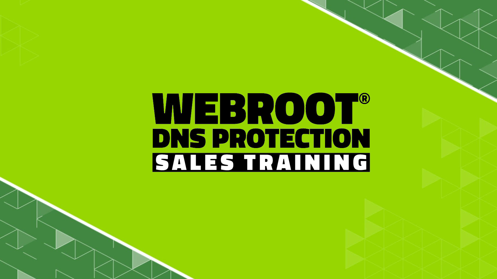 Webroot SecureAnywhere DNS Protection Sales Training