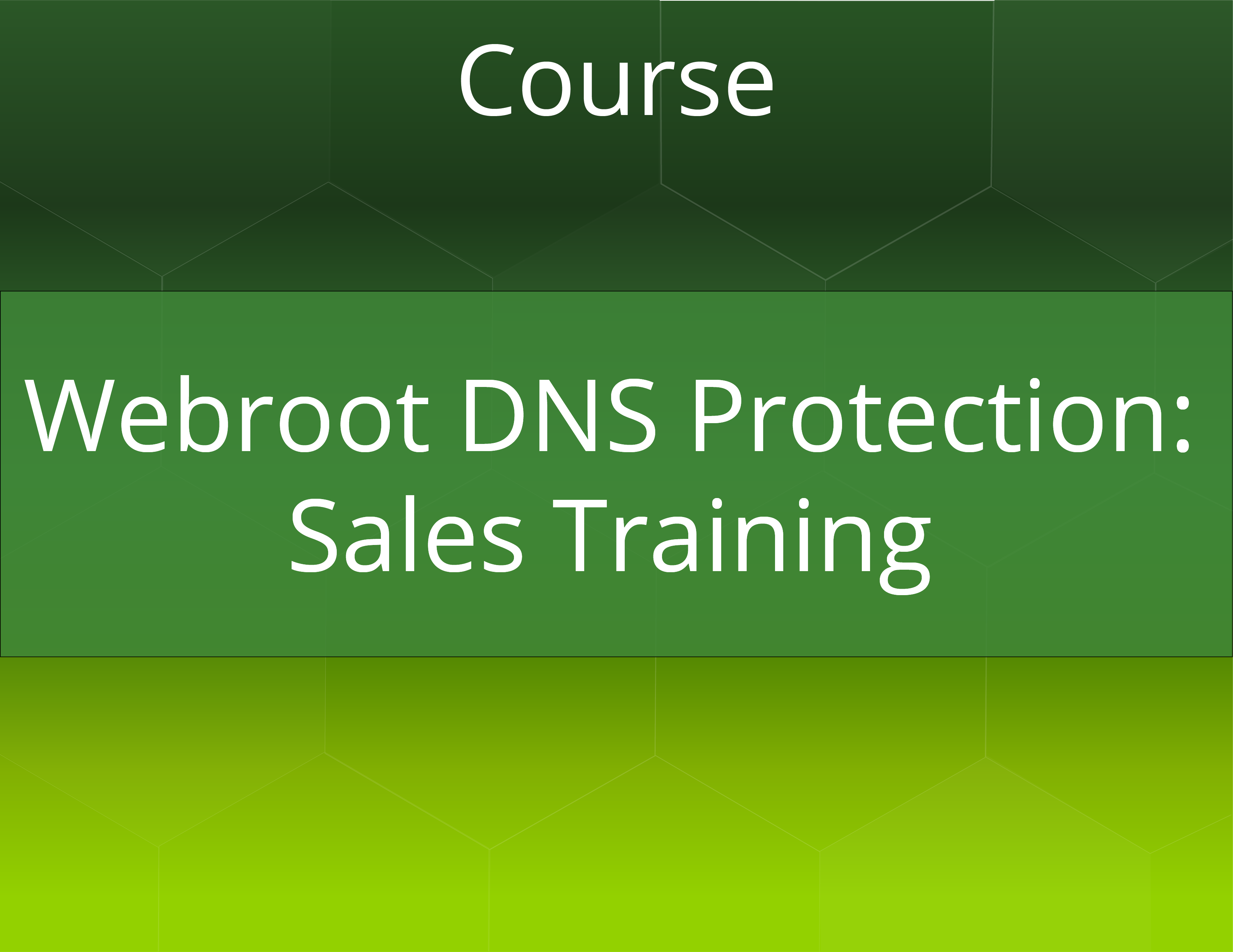 Webroot SecureAnywhere DNS Protection Sales Training