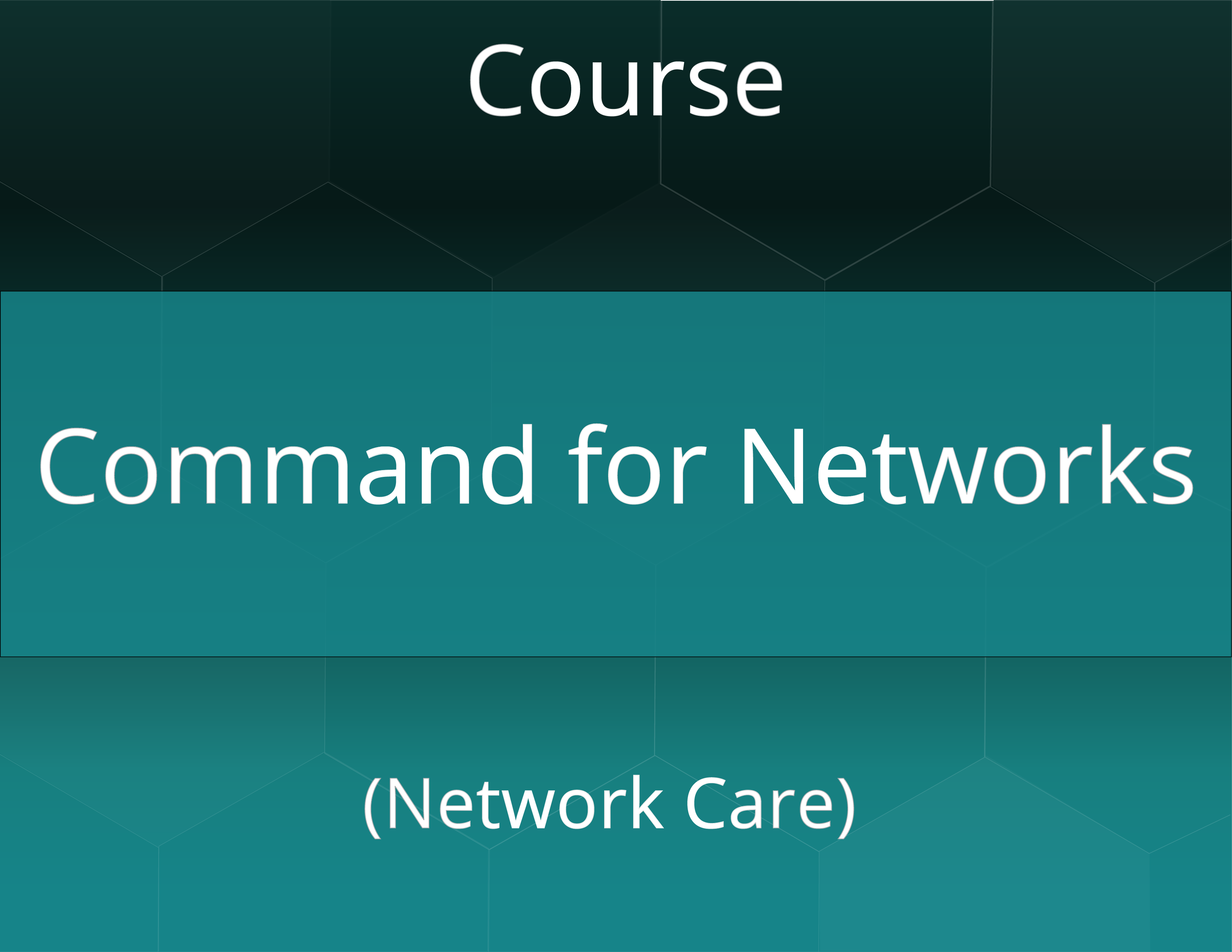 Continuum Command for Networks